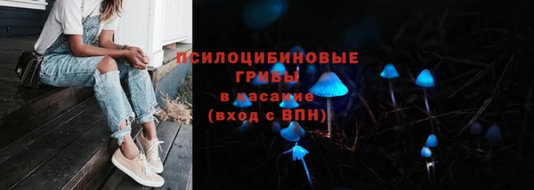 гашик Балабаново