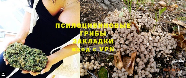 гашик Балабаново