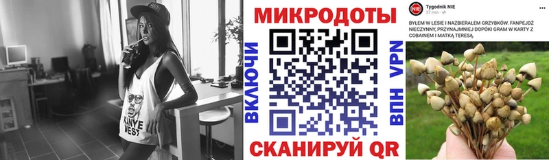 Псилоцибиновые грибы мухоморы  shop формула  Калуга  закладки 