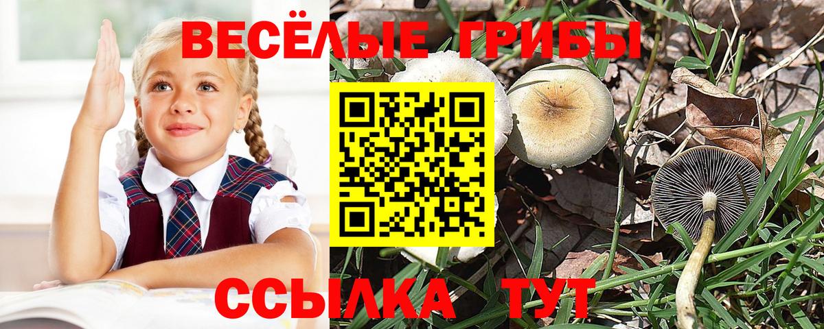 Псилоцибиновые грибы MAGIC MUSHROOMS Калуга