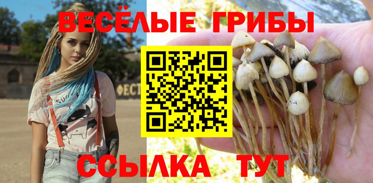 как найти закладки  Вход с VPN  Калуга  Псилоцибиновые грибы Psilocybine cubensis 